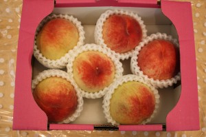 茗荷谷　千石　新大塚　護国寺　歯医者　高橋歯科クリニック文京