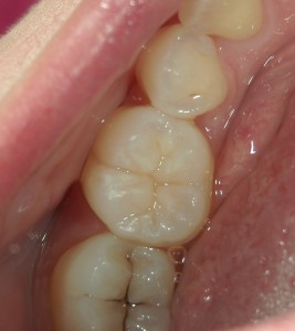 高橋歯科クリニック文京 文京区の歯医者