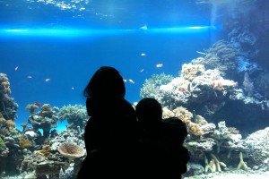 高橋歯科クリニック文京　文京区　歯医者