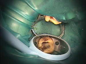 高橋歯科クリニック文京