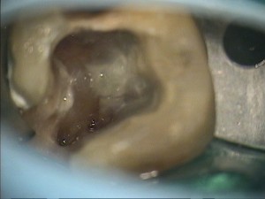 高橋歯科クリニック文京