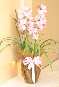 高橋歯科クリニック文京