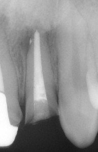 髙橋歯科クリニック文京