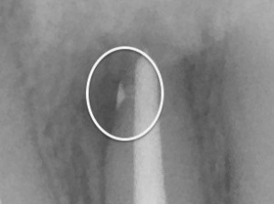 髙橋歯科クリニック文京