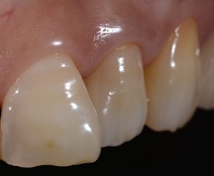 文京区茗荷谷高橋歯科クリニック文京