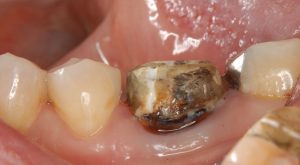 文京区千石高橋歯科クリニック文京