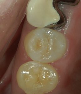 文京区茗荷谷　高橋歯科クリニック文京