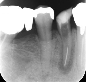 文京区千石茗荷谷歯医者高橋歯科クリニック文京