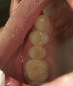 文京区千石歯医者高橋歯科クリニック文京