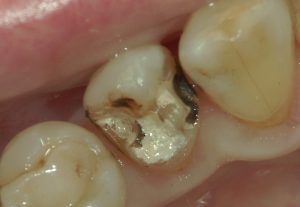 文京区茗荷谷千石高橋歯科クリニック文京